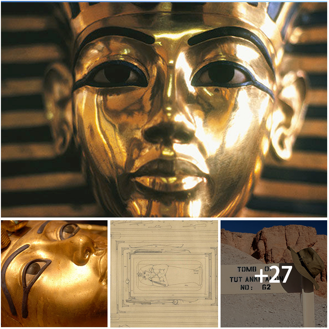 Tutankhamun's Tomb: An Expert's Insight into One of the Greatest Archaeological Finds